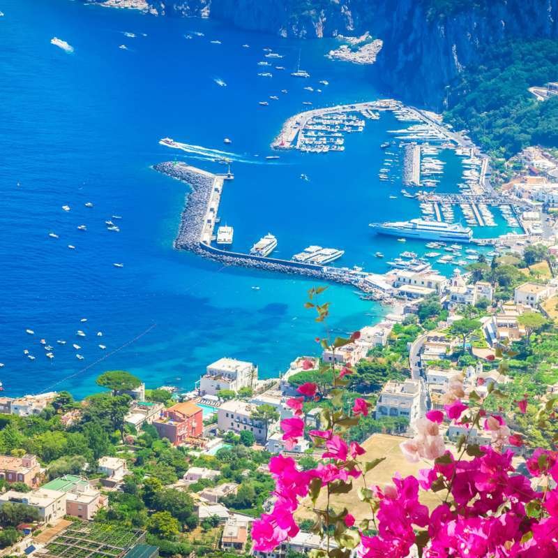Aerial view of Marina Grande harbor on Capri framed by pink bougainvillea flowers