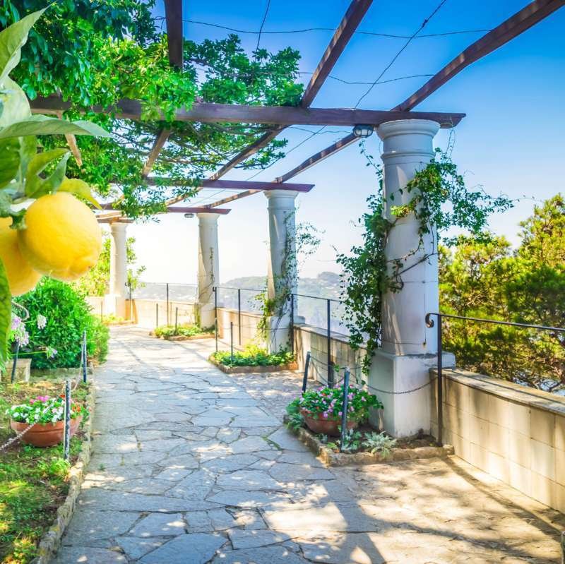 Lemon trees and white columned pergola at Villa San Michele in Anacapri